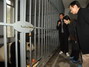 林鄭月娥（右二）視察都江堰大熊貓救護與疾病防控中心。