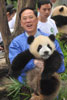 曾蔭權近距離接觸年幼大熊貓。